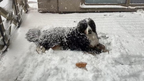 奴才：那你玩得開心點吧