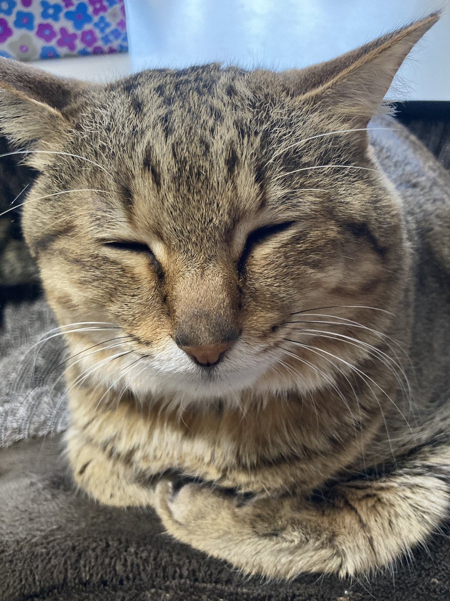 奴才：你是不是嫌棄我了TT