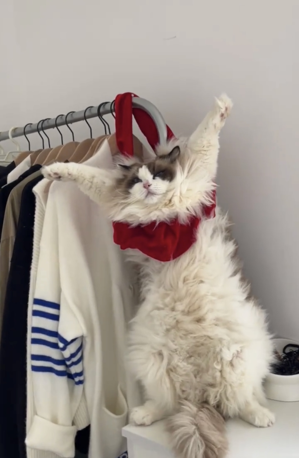 奴才:你好好反省一下囉