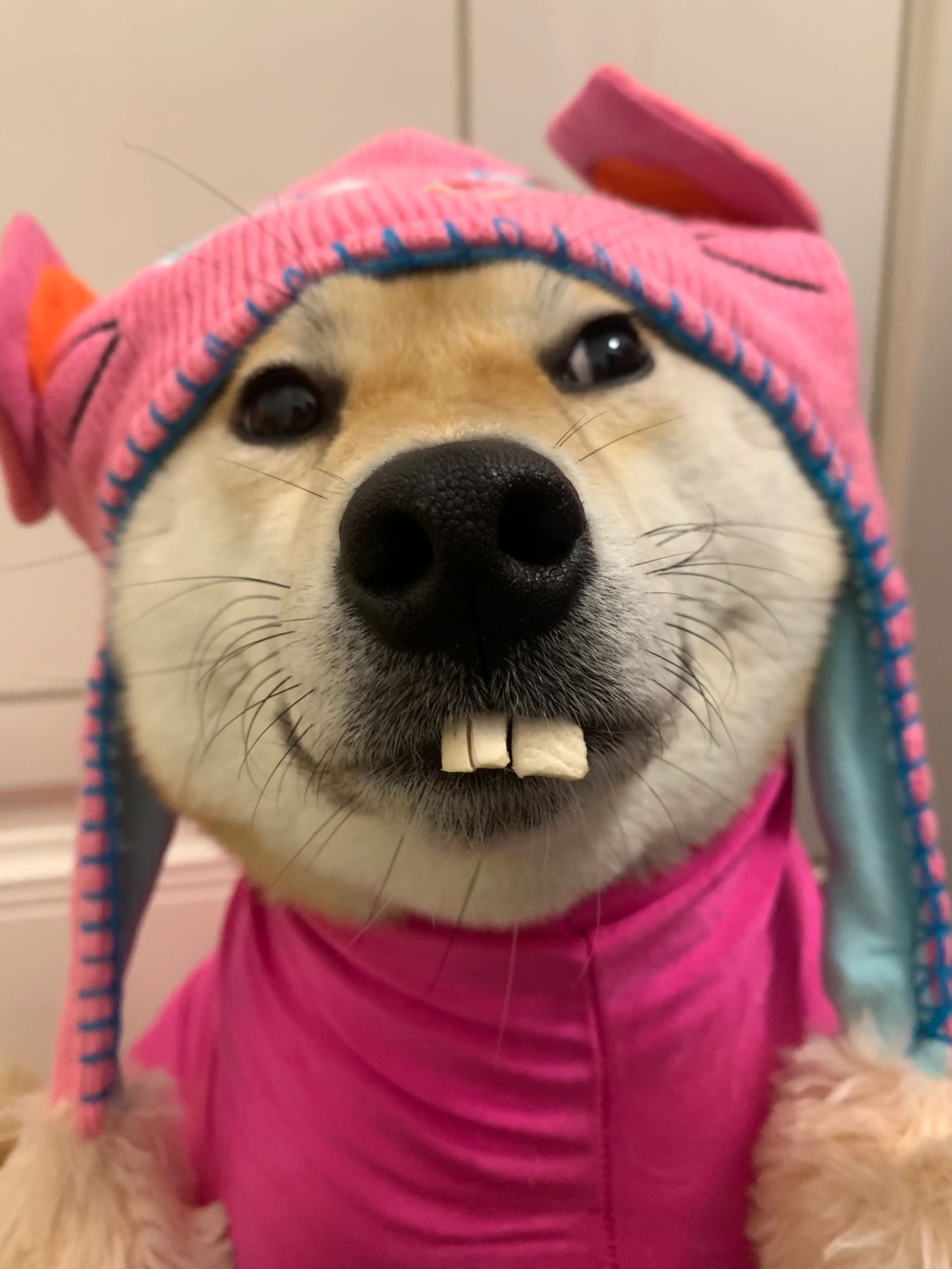 奴才：你好像很委屈？