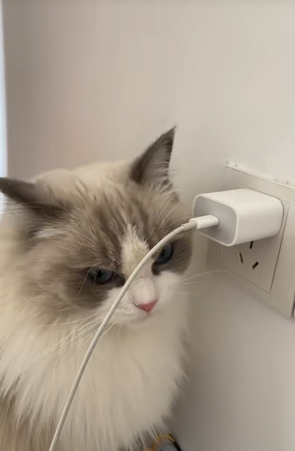 奴才：我也是為了你的安全著想捏！