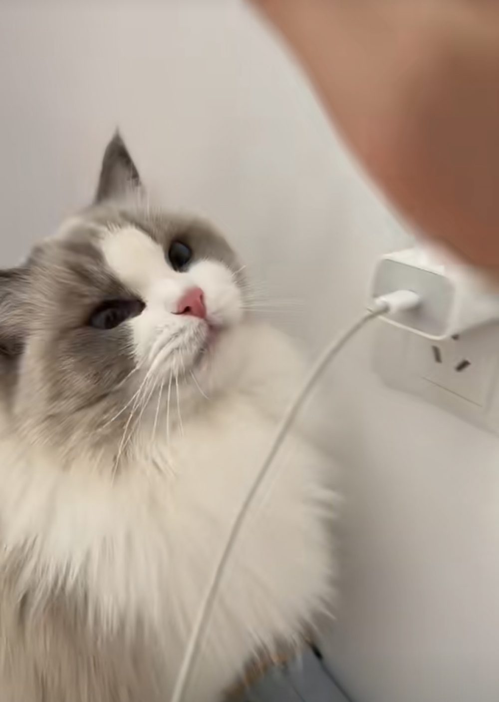 奴才：你別以為這是件小事喔