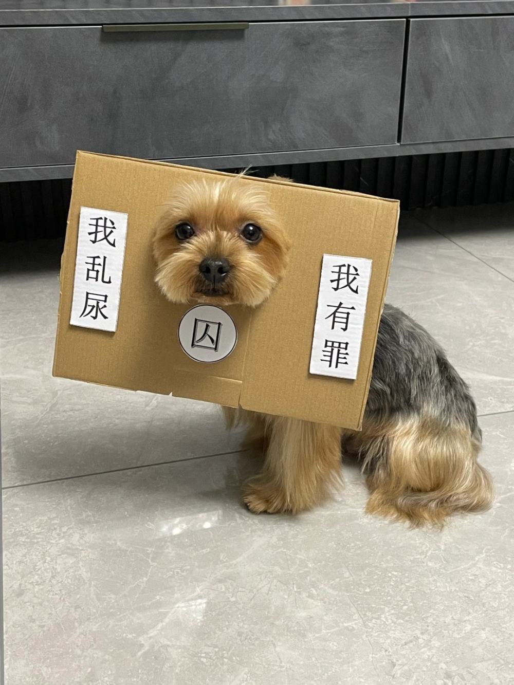 奴才:對啊~怎麼了嗎