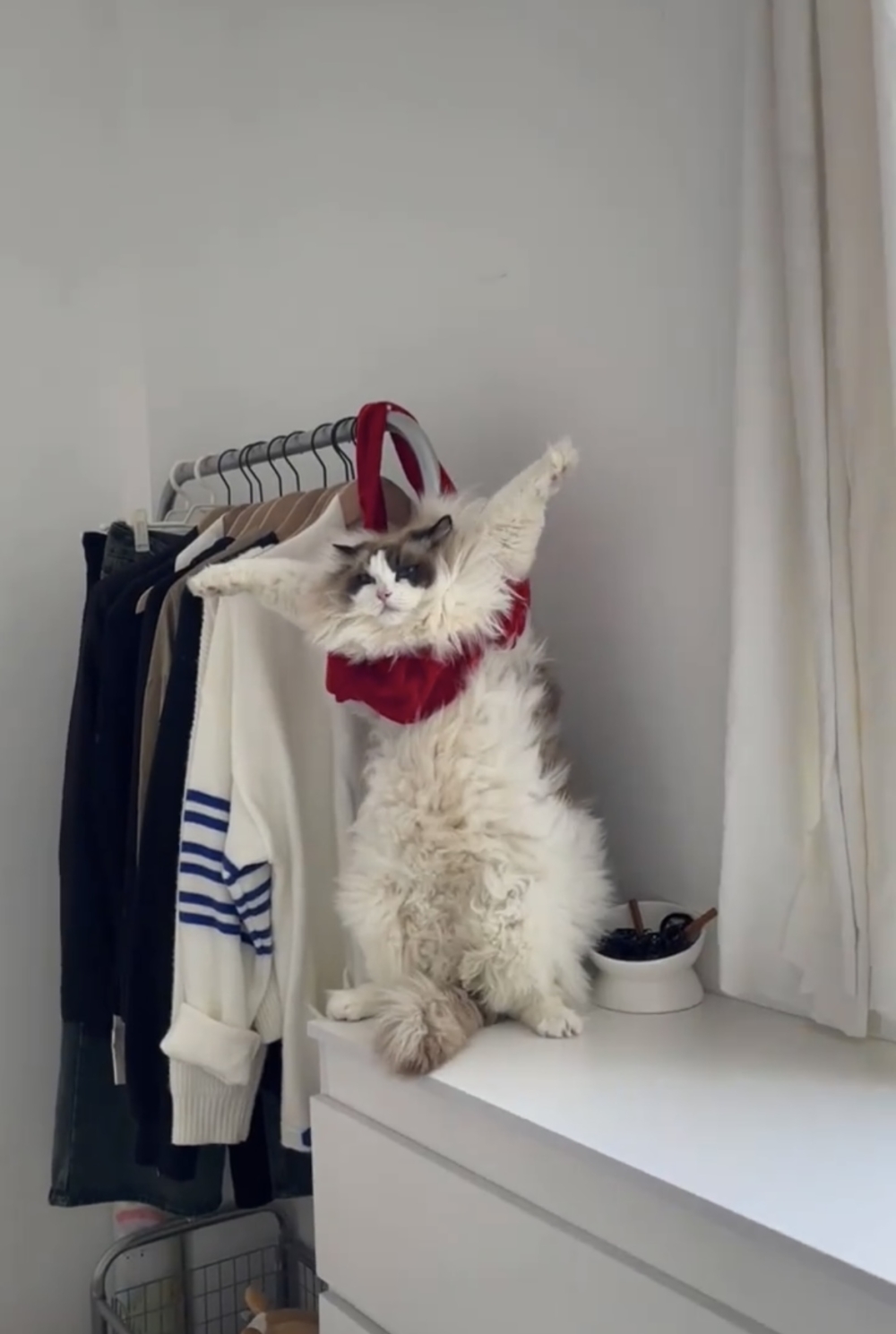 奴才:你怎麼上去的啦