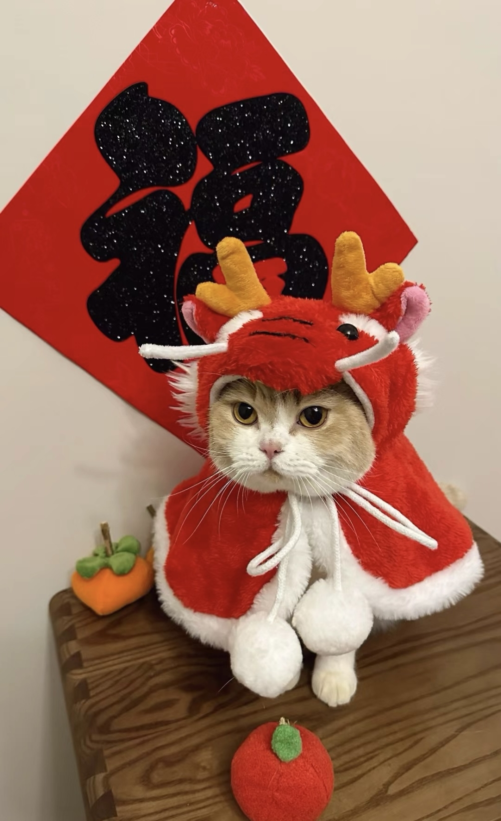 奴才：我的眼光還是可以的