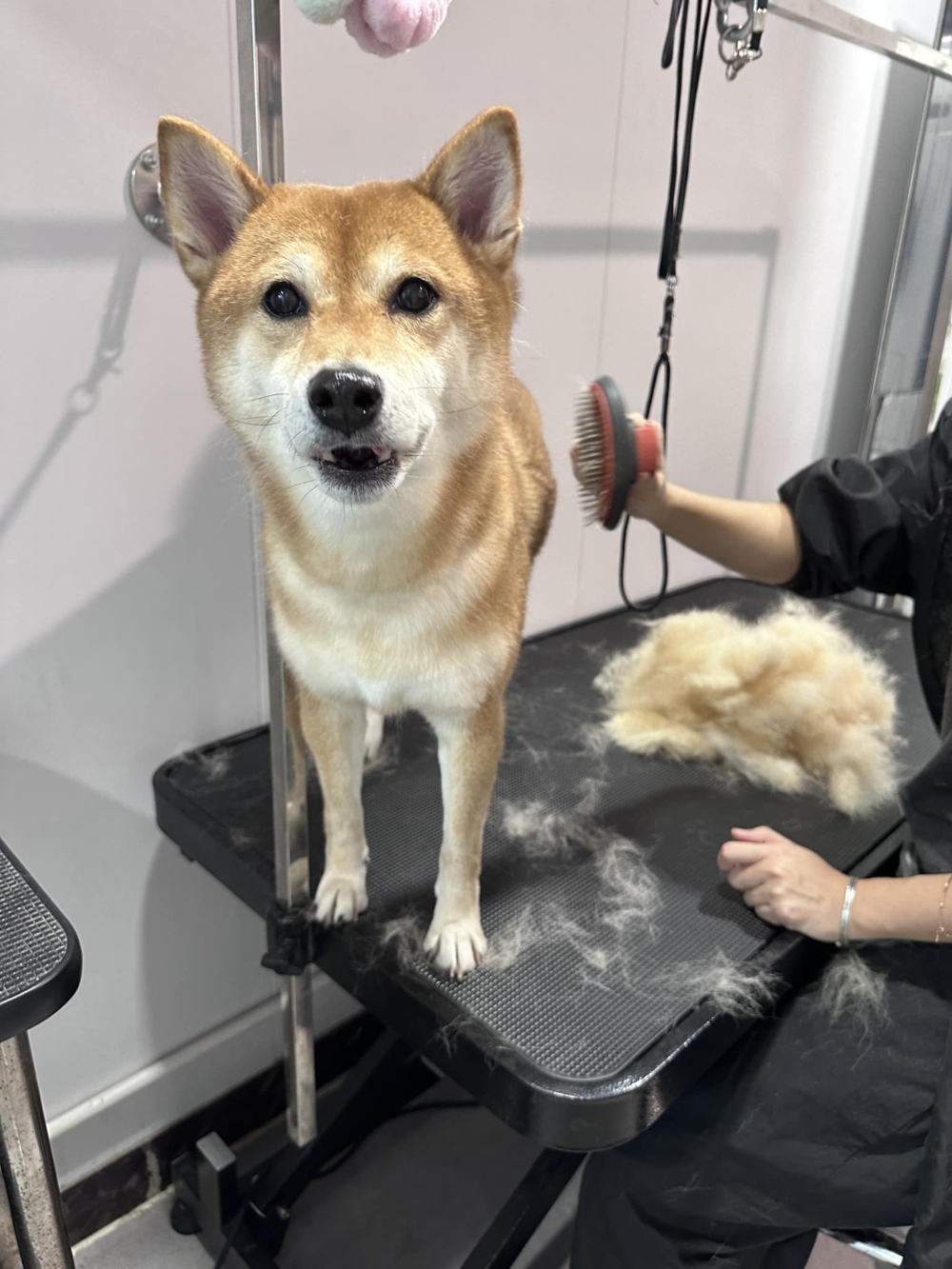 Fluffy Little Things