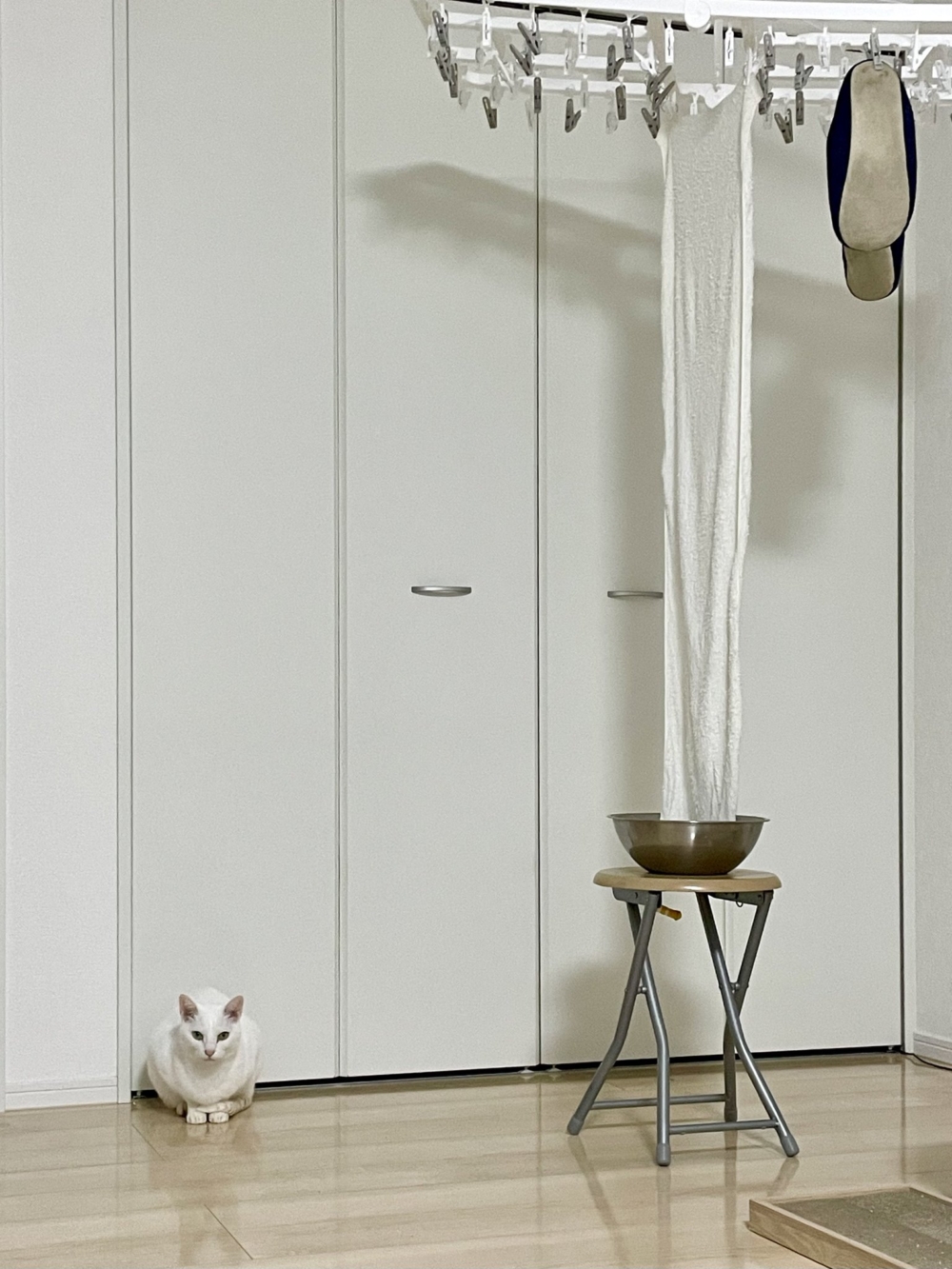 奴才：這還不是為了你們喔