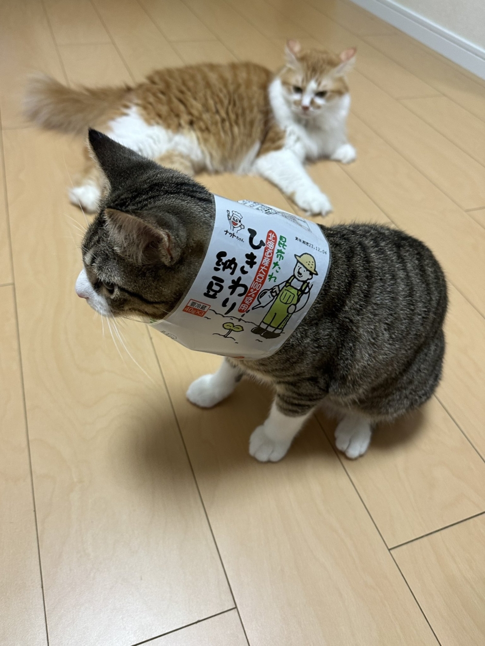 奴才：都說了不要玩垃圾吧