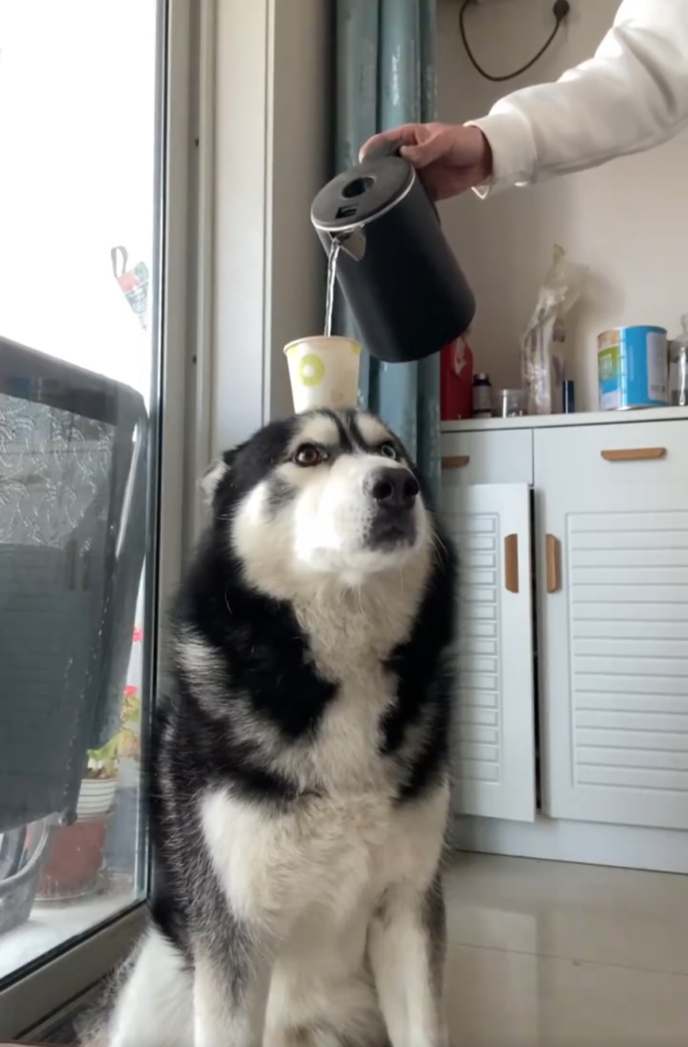 奴才：還不錯喔