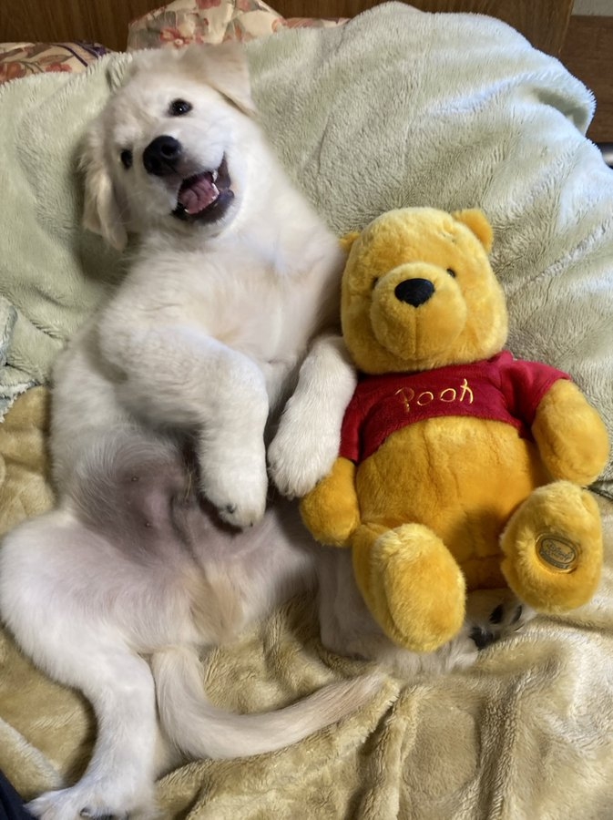 奴才：你好重情重義啊