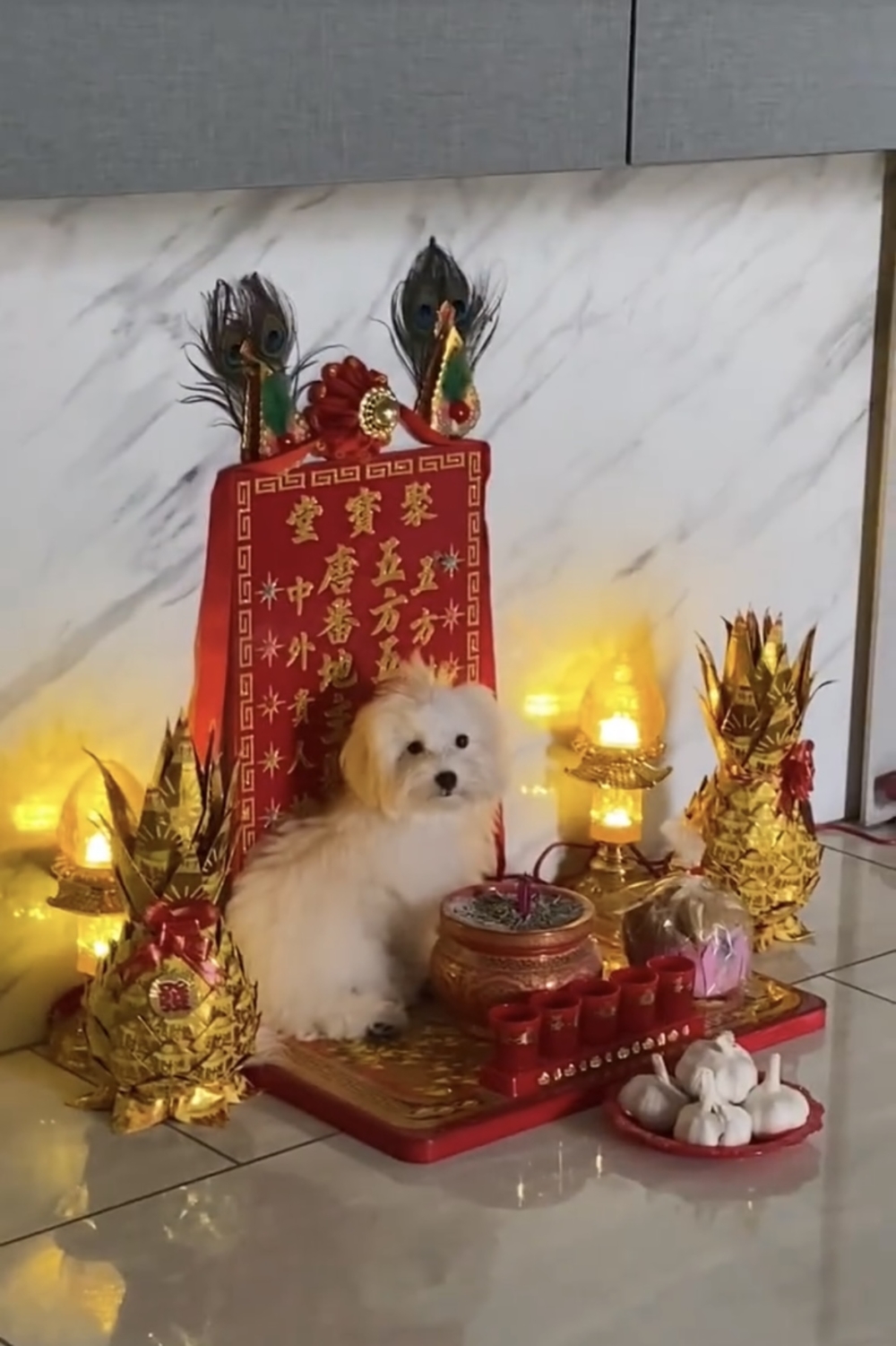 奴才：你怎麼那麼肯定