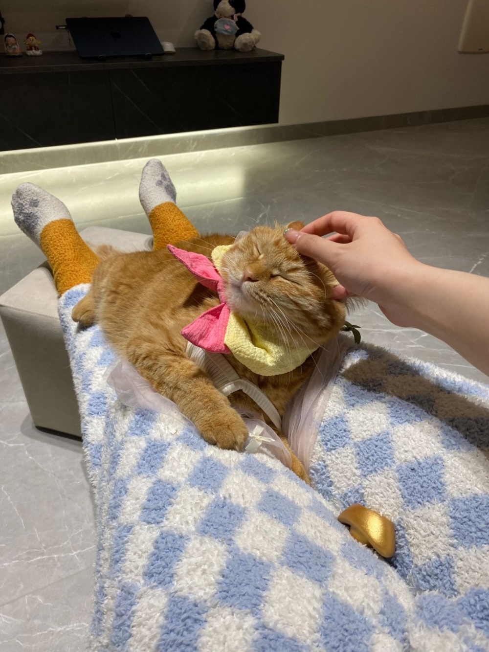 奴才:那就你認為我值得多少錢錢呢?