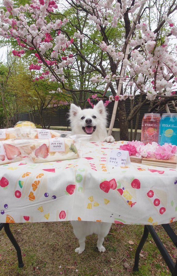 奴才：看好你喔