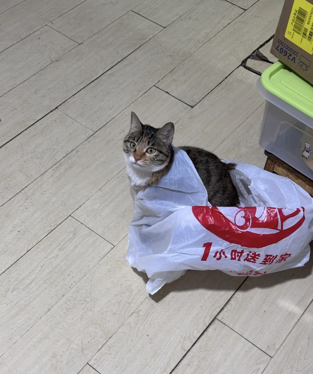 奴才：你別誤會我喔