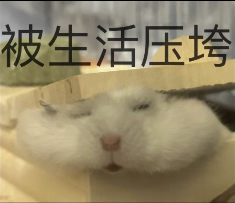 鼠：朕的母語是無語