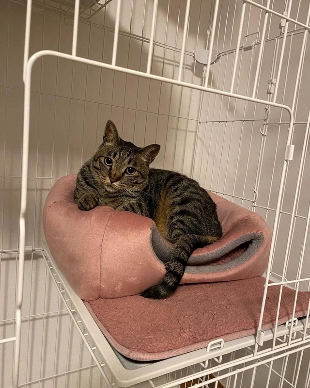 奴才：好，隨時歡迎