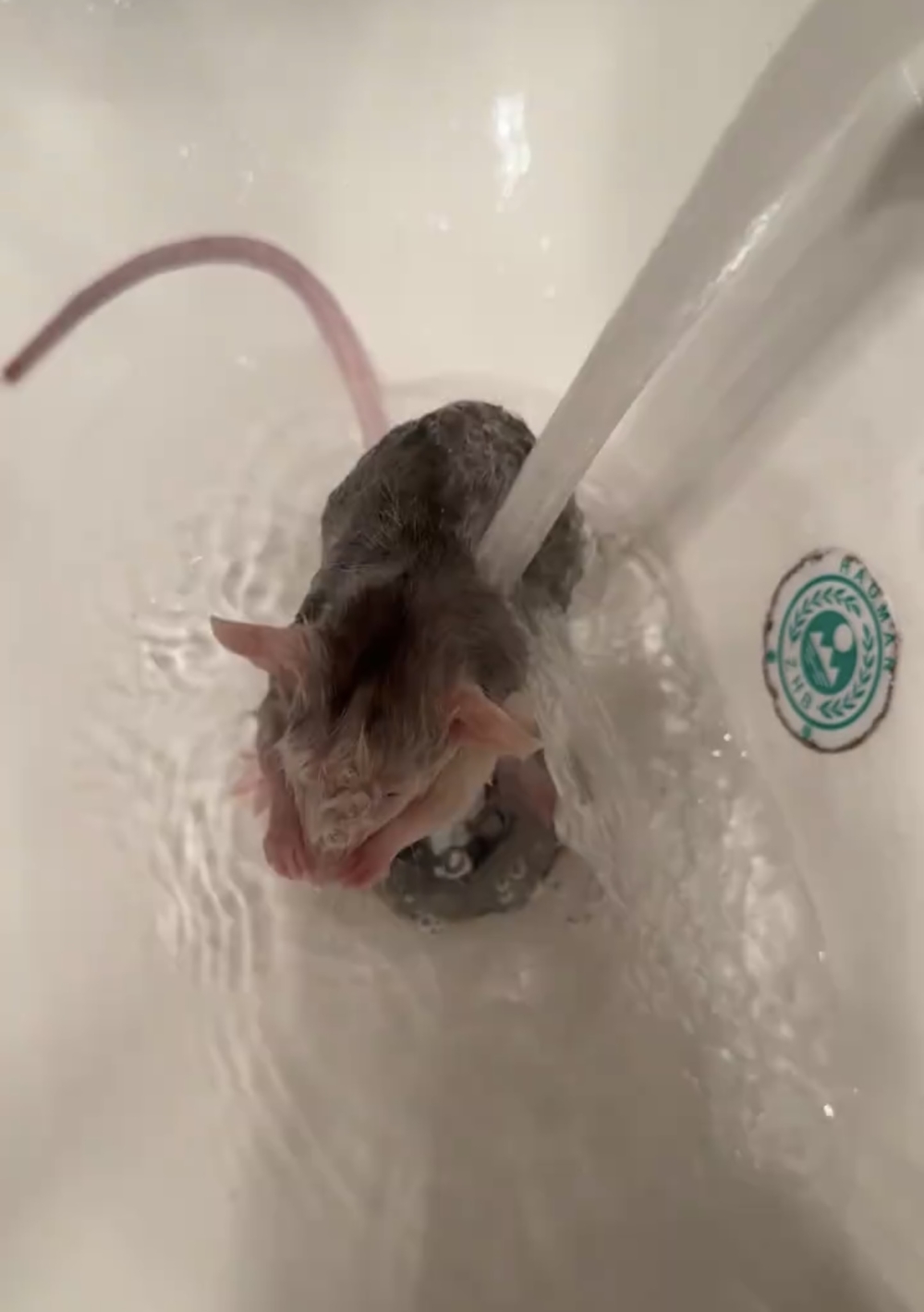 奴才：那我就放心了