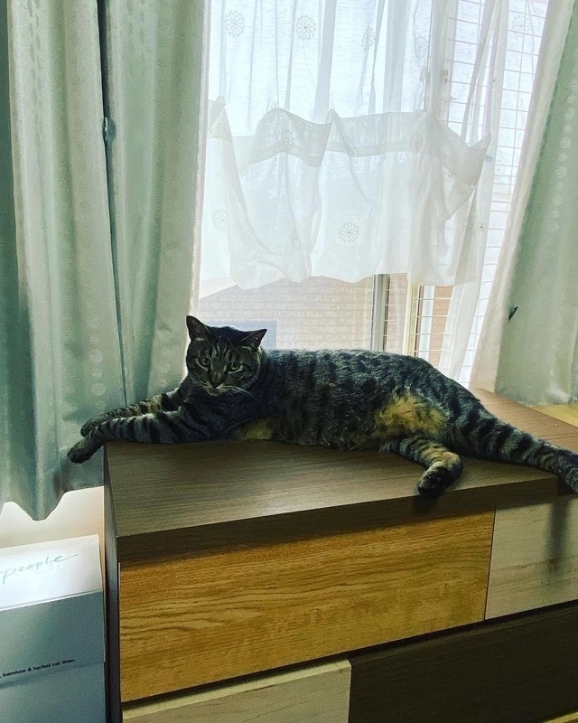 奴才：一切都尊重你