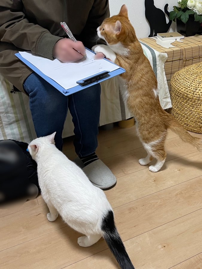 患者：你好熱情喔