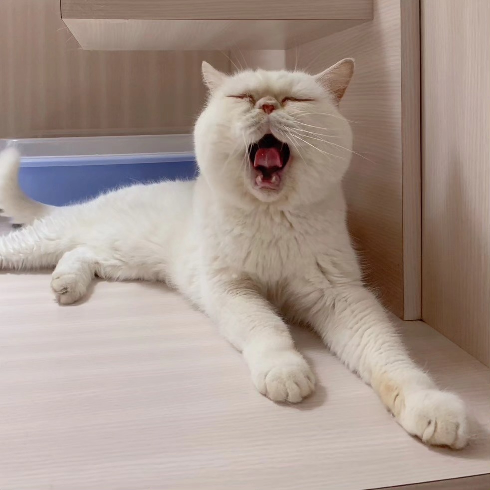 提供住宿服務。