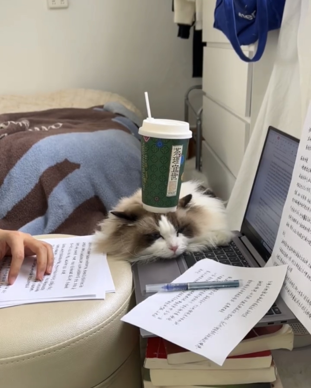 奴才：好好好，向你保證