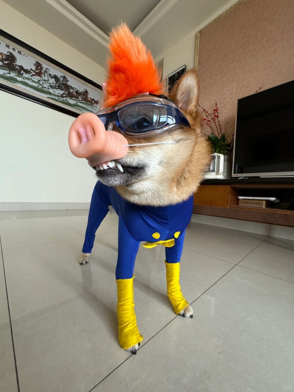 奴才:對對對,你說的都對