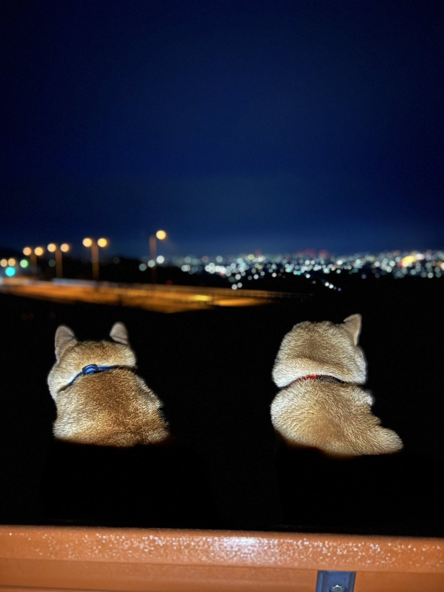 奴才：好啦！現在這樣可以了吧～