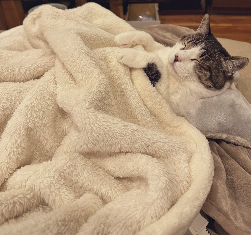 奴才：但是這樣很不雅捏