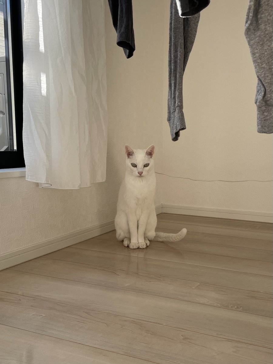 奴才：當然囉！我可是有動腦噠～