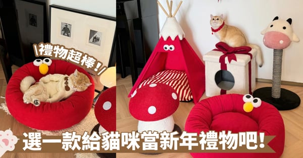 5大「新年禮物」推薦！紅彤彤的迎接新一年，各式睡窩玩具，多樣選擇奴才別挑花眼囉XD