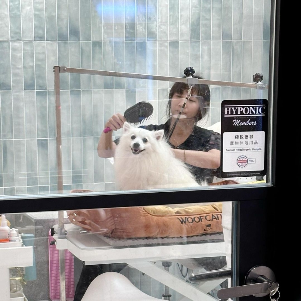 WOOF MAGIC美容師有一套特別的控犬方法,不僅能夠減輕毛孩的不適感,還會順應毛孩的需求並在整個過程中讓狗狗感到輕鬆和愉快。