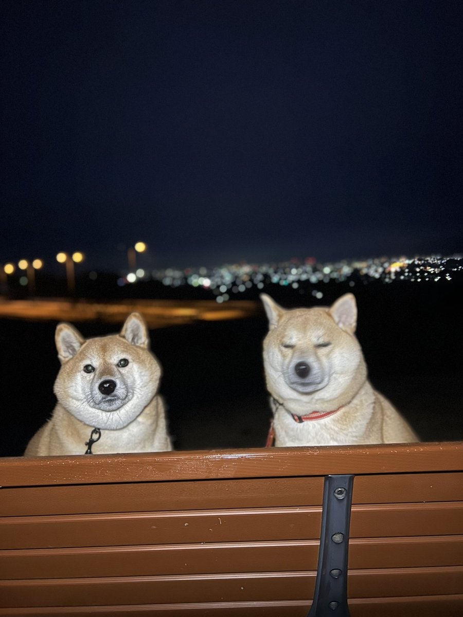 奴才：哎呦，就是沒注意到嘛