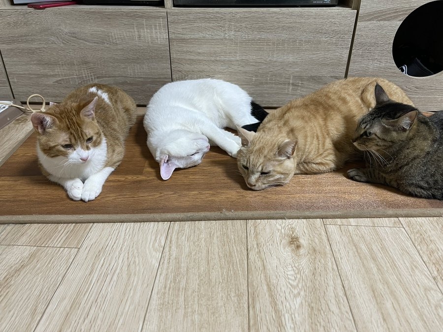 患者：你要來陪陪我嗎？