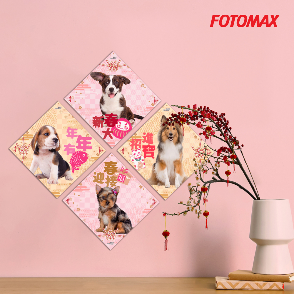 快圖美閃底得意寵物菱形揮春套裝｜1套4張 HK$98