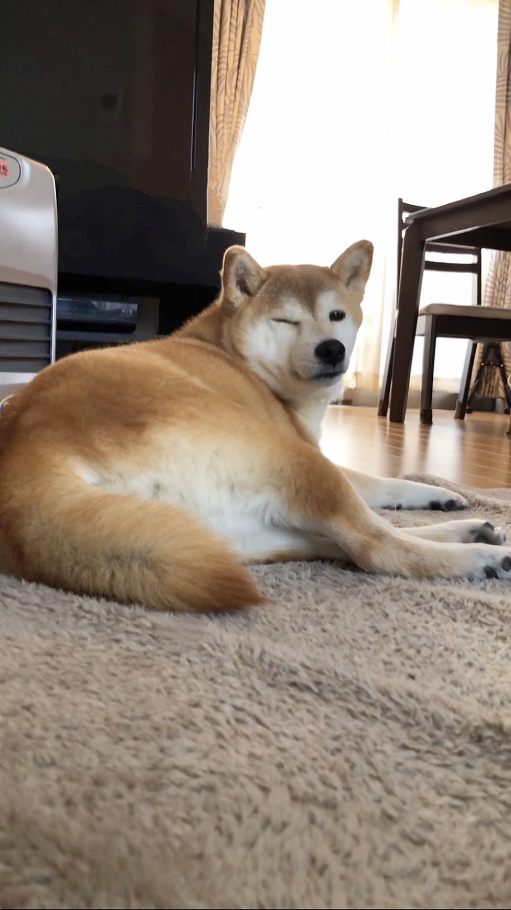 奴才：別拍馬屁啦