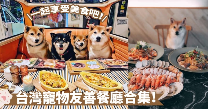 【寵物友善餐廳】探索台灣多元風味的美食餐廳，打破單調，品味無窮樂趣！
