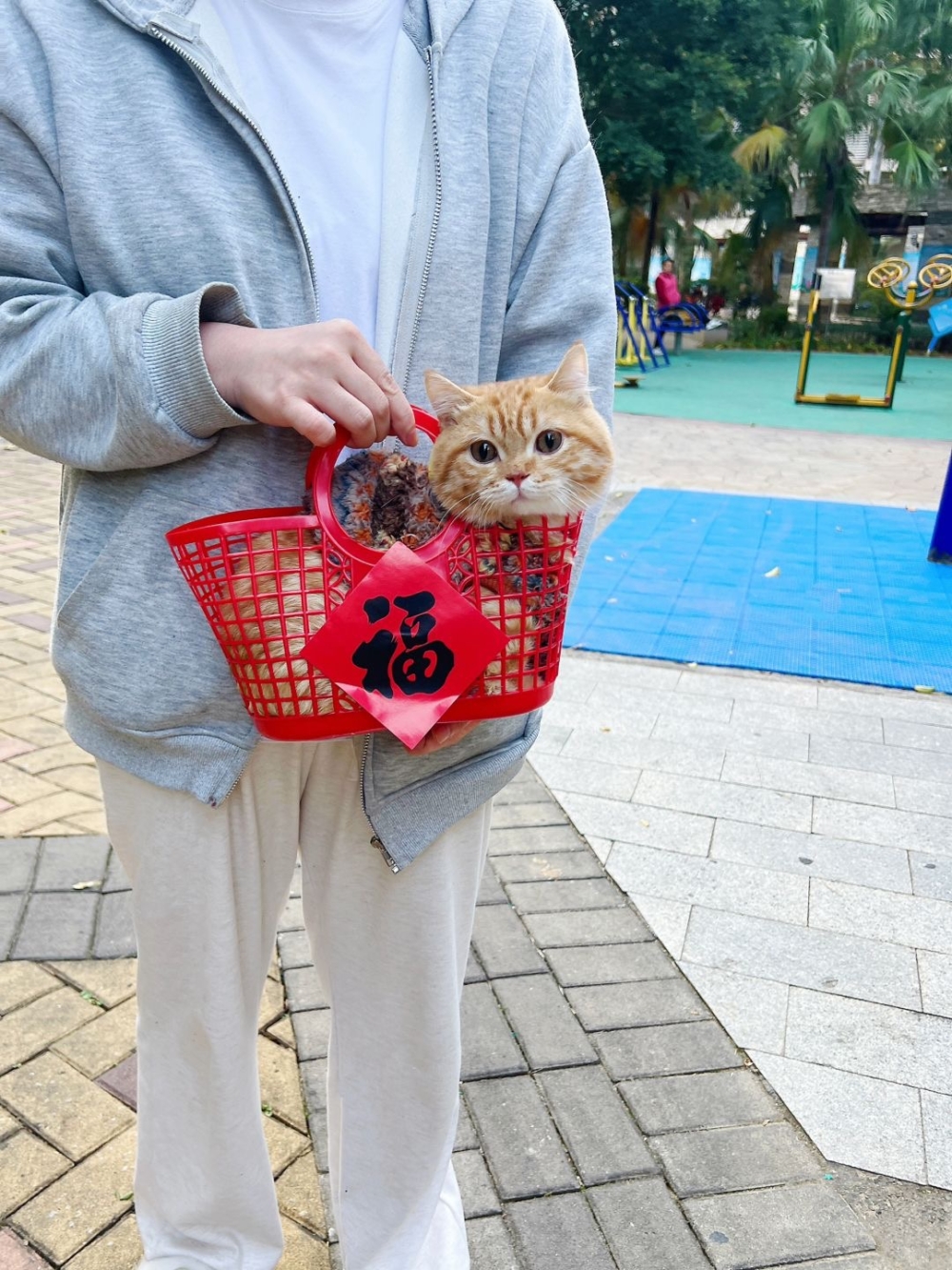 奴才：你滿腦子只有吃的喔