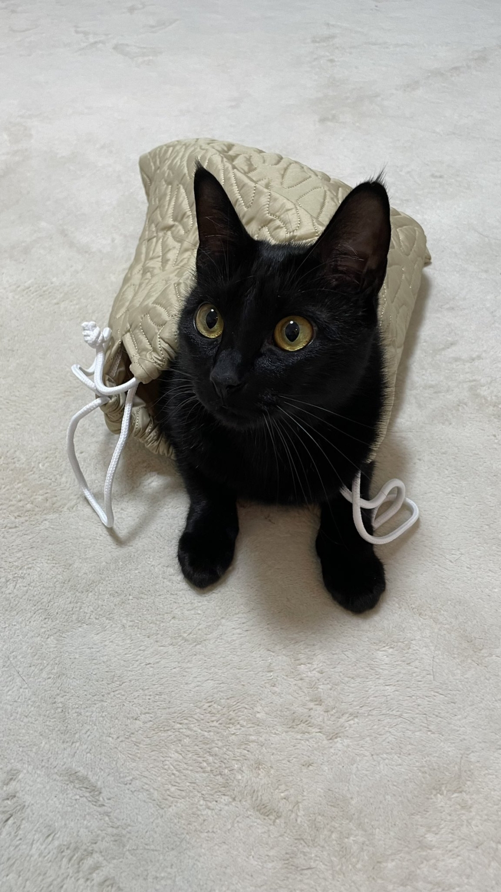 奴才：確實不錯啊