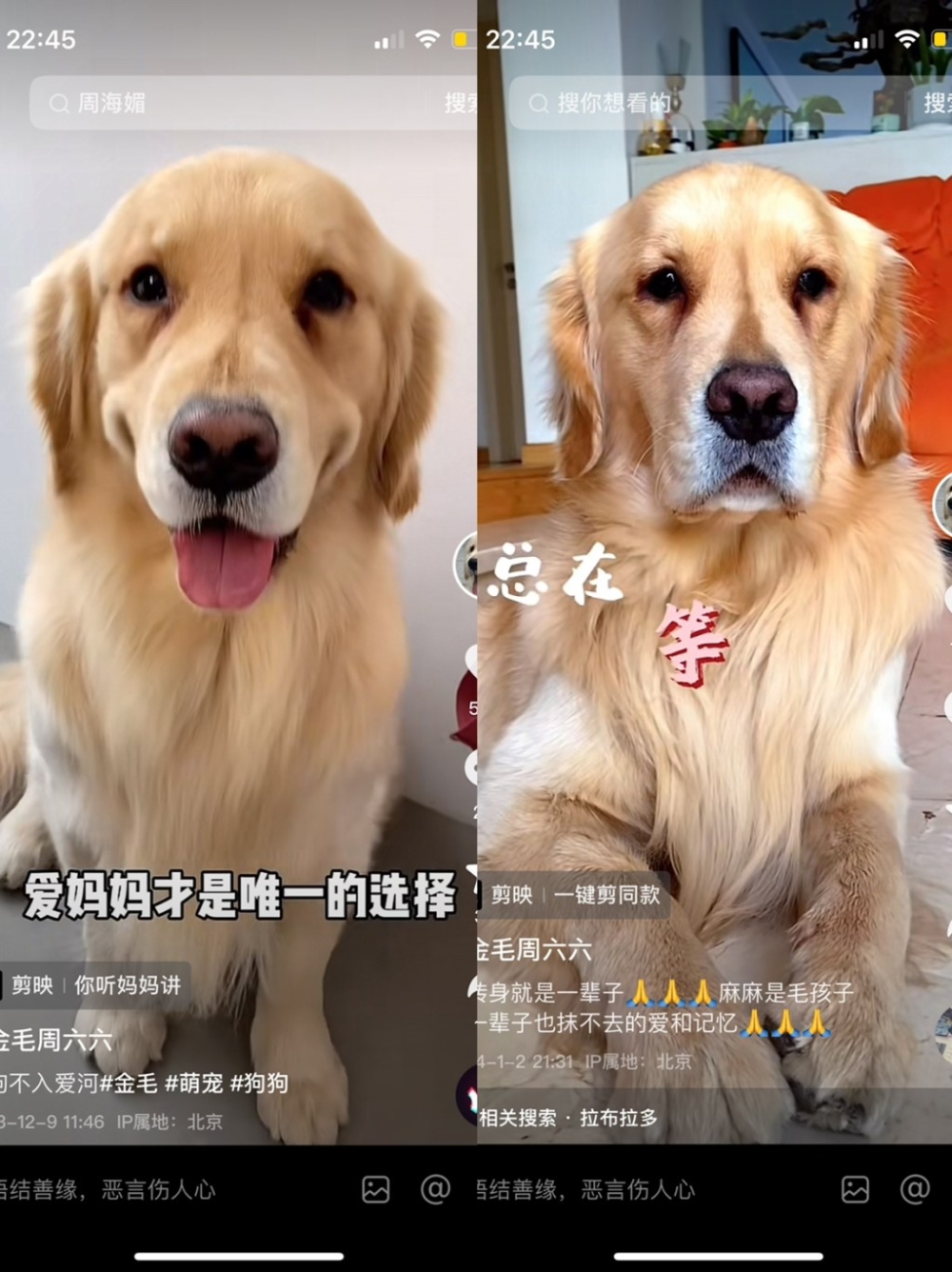 有網民對比周六六在周海媚逝世前後的照片。