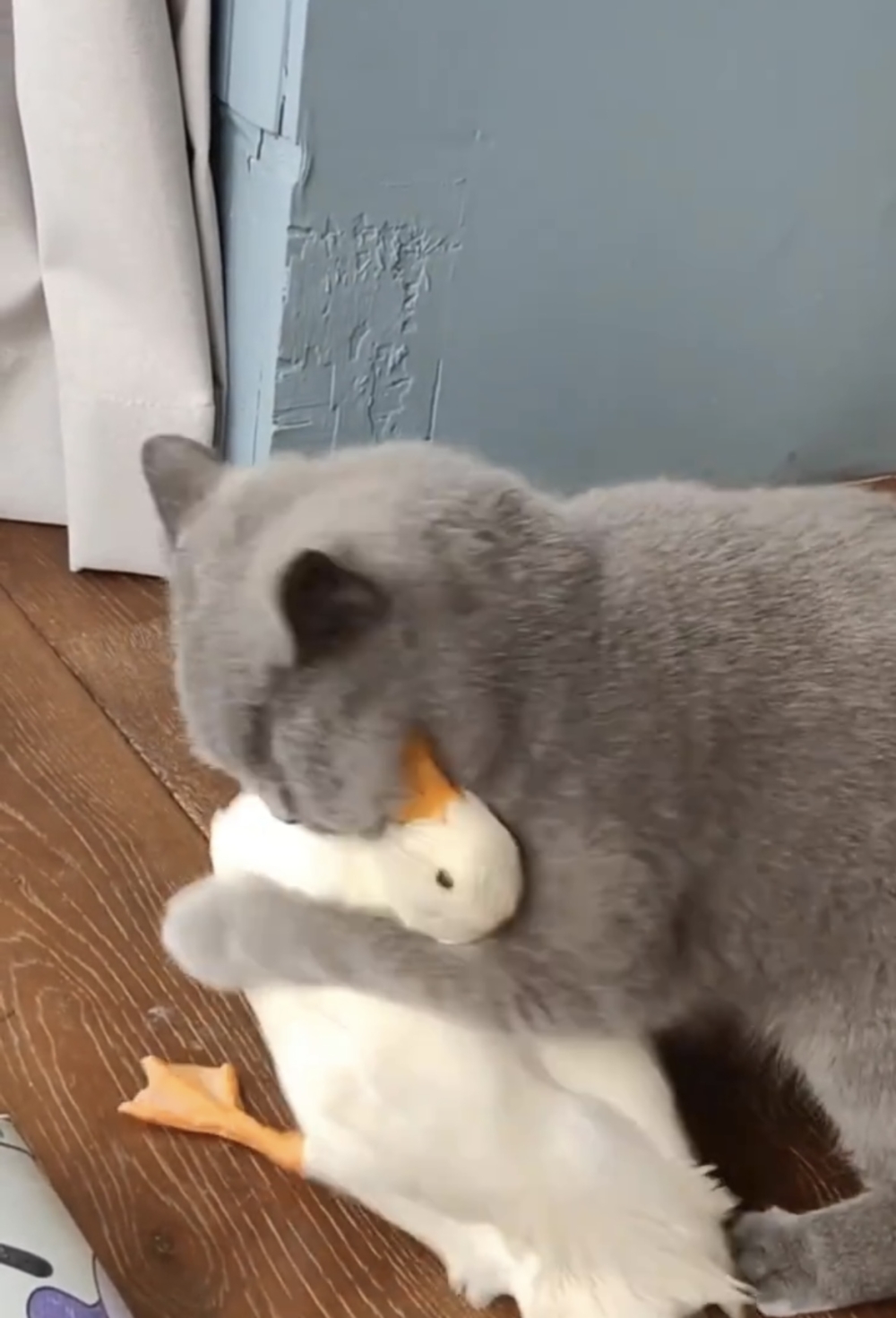 鴨：好不要臉啊