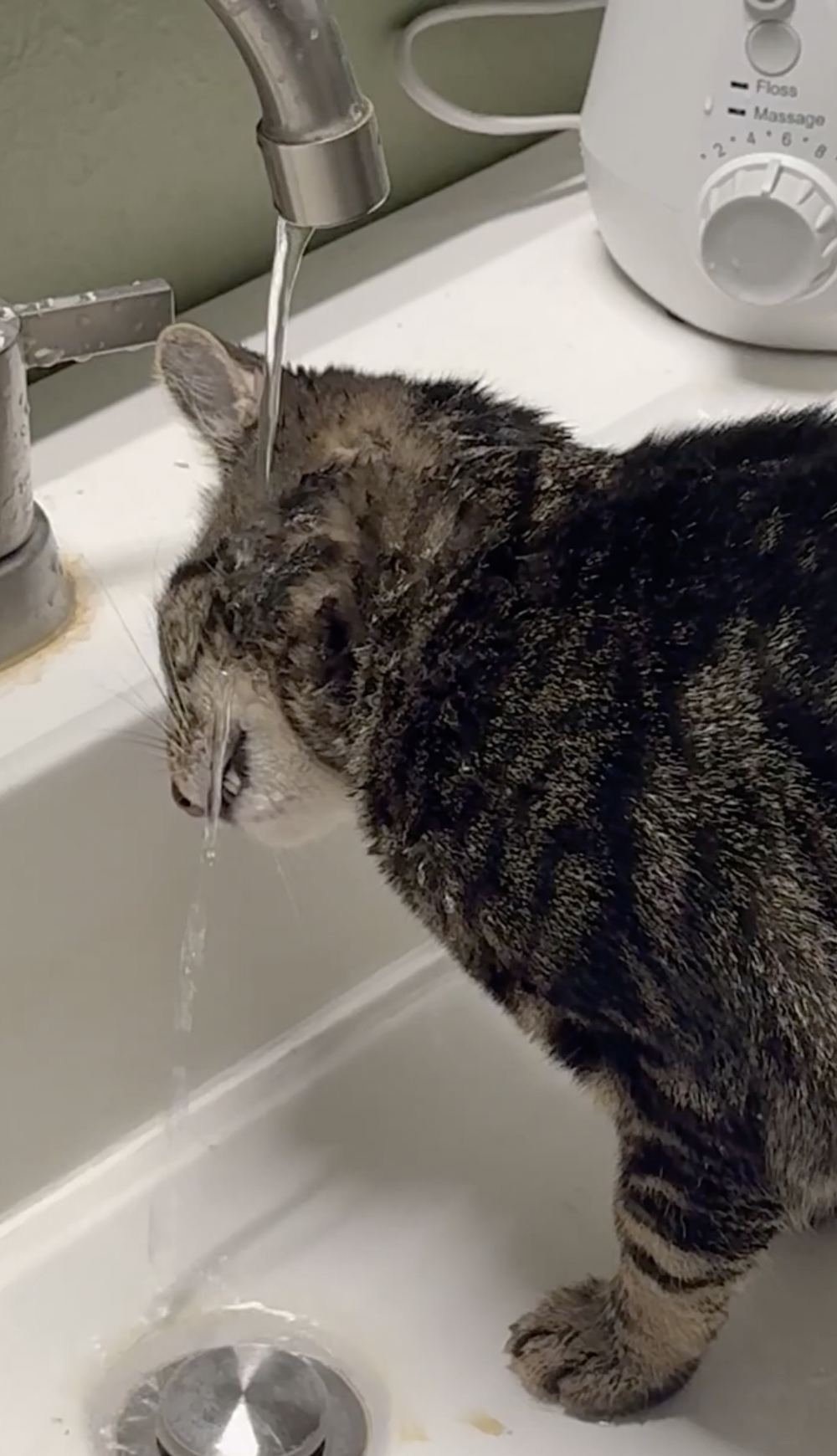 奴才：那你幹嘛？