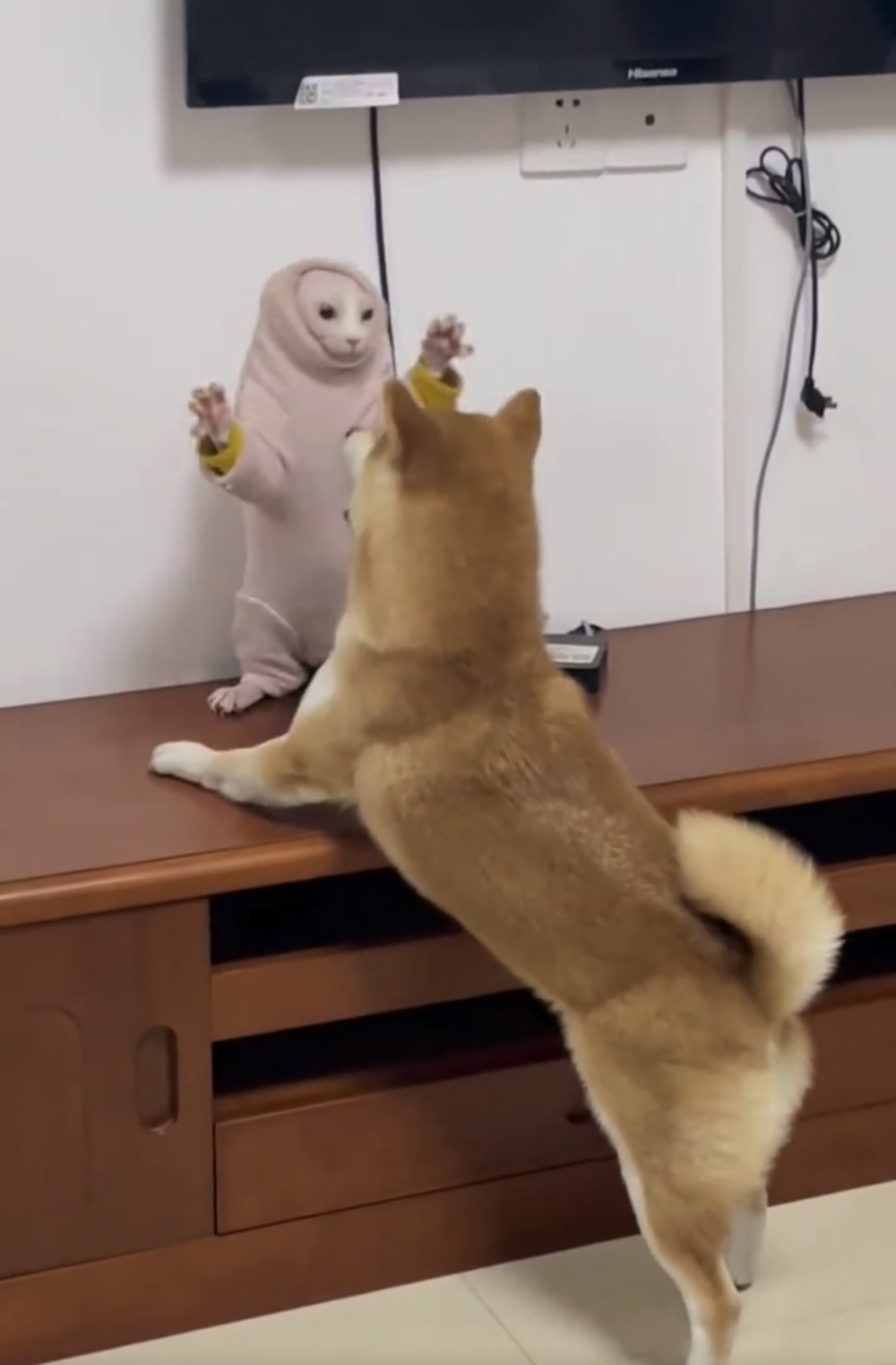 汪：一起來玩啊