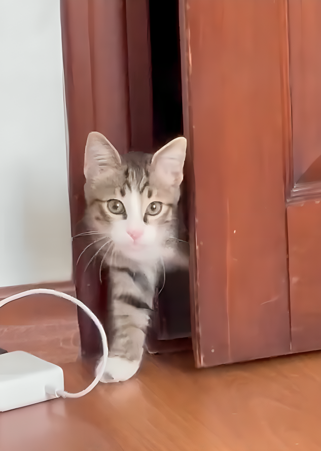 Kumano先生：真是不客氣啊