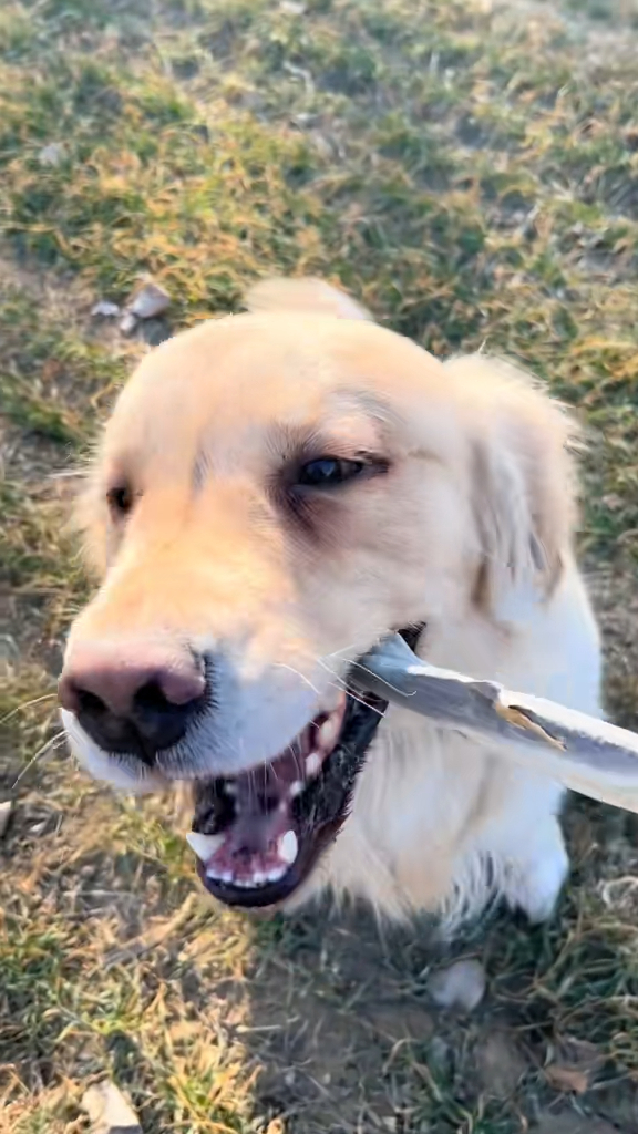 「周六六」終於重見笑臉來了！