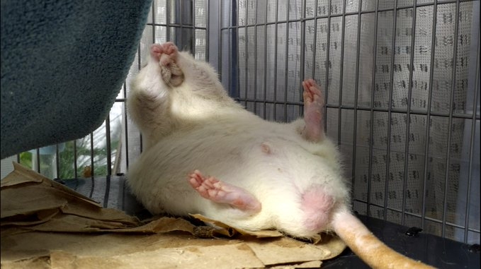 奴才：好～我會安排時間的