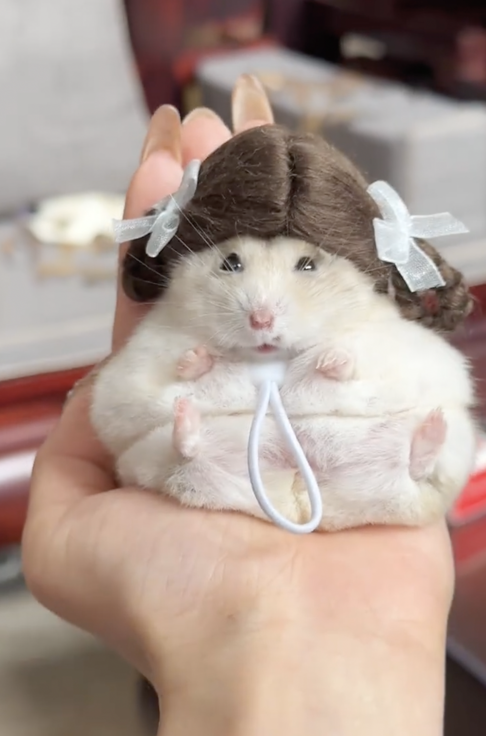 奴才：多打扮就會習慣了