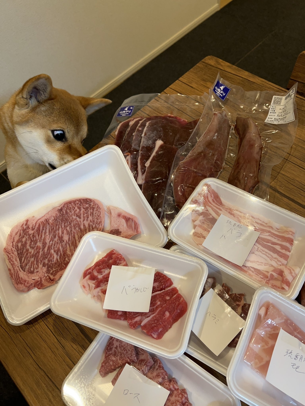 奴才：這是我剛採購的捏