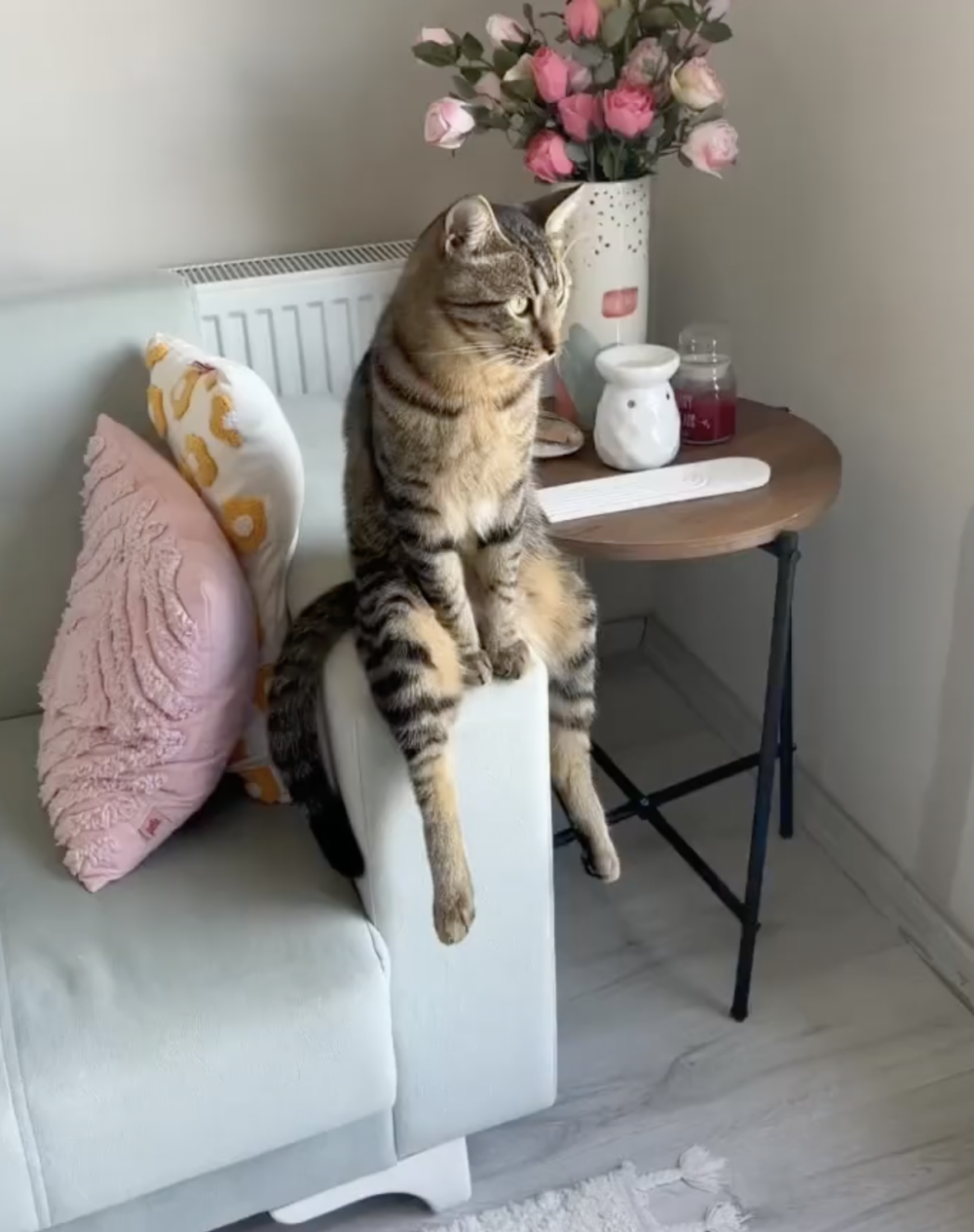 奴才：那就不打擾你了