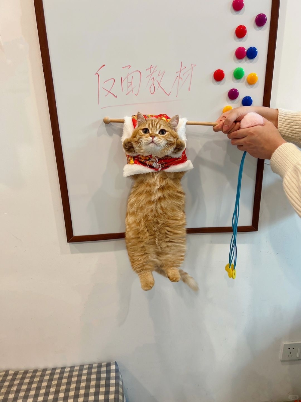 奴才：很大的問題囉