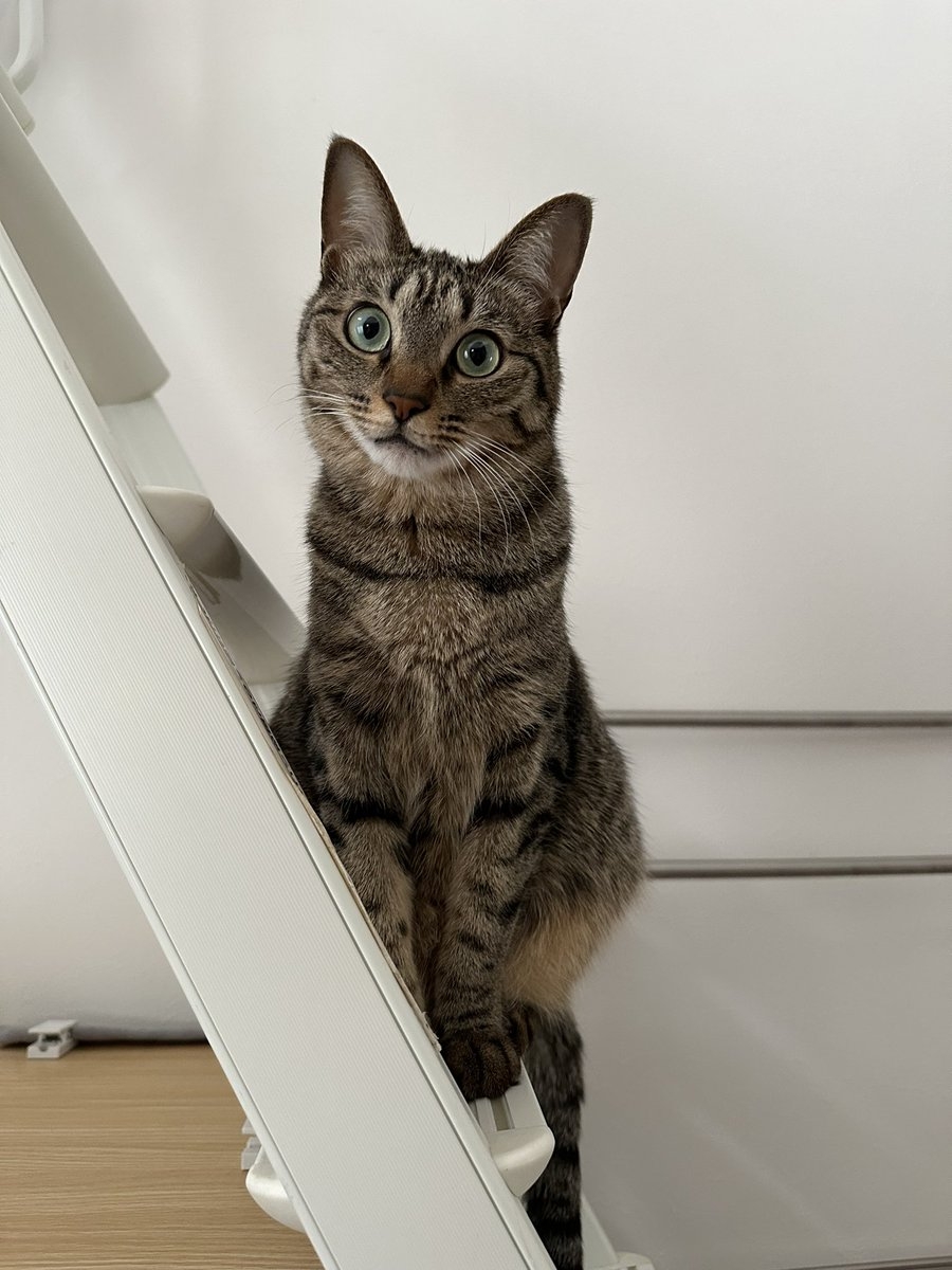 奴才：真拿你沒辦法